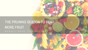 The-pruning-season-to-bear-more-fruit-1