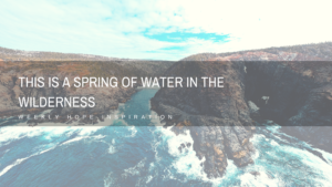 there-is-a-spring-of-water-in-the-wilderness