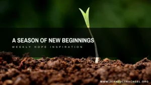 A season of new beginnings