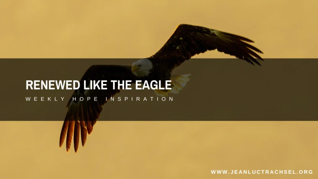 Renewed Like The Eagle