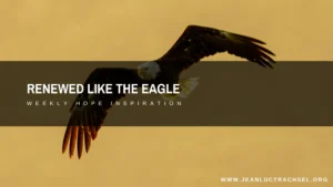 Renewed Like The Eagle