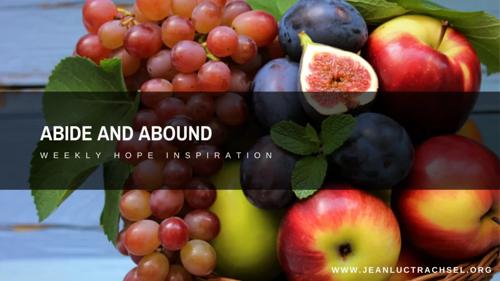Abide and Abound